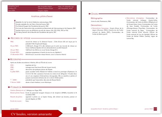 vignette cv auriol