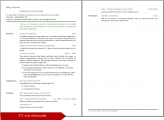 Screenshot for Curriculum Vitae (Resume, CV)  vert émeraude