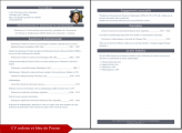 Screenshot for Curriculum Vitae (Resume, CV) ardoise et bleu de Prusse