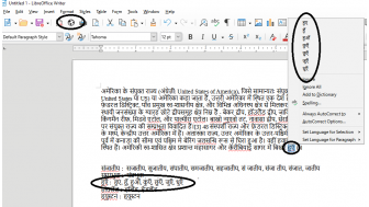hindi spellcheck plus