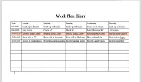 Screenshot for Work Plan